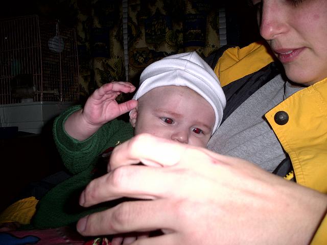 Picture 340.jpg